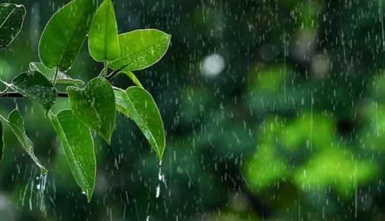 রাজধানী ঢাকাসহ যেসব জায়গায় বৃষ্টির সম্ভাবনা