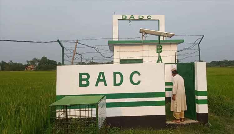 এক জমিকে ৩ ফসলিতে রূপান্তর