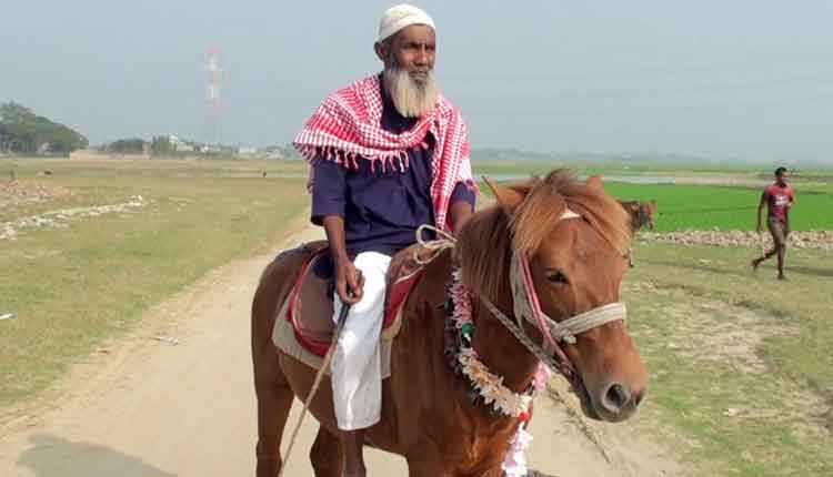 মনু মিয়ার ঘোড়া শুধু বাহনই ছিল না, গ্রামের গর্বও