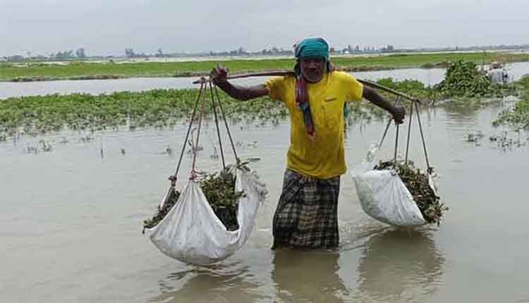 আতঙ্ক আর অনিশ্চয়তায় কুড়িগ্রামবাসী
