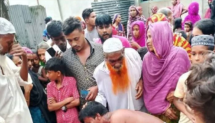ময়মনসিংহে বজ্রপাতে প্রাণ গেলো বাবা-ছেলের