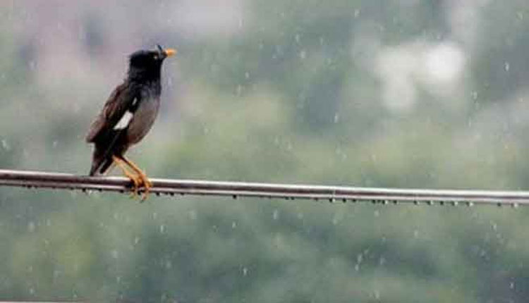 সাত অঞ্চলে ৬০ কিলোমিটার বেগে ঝড় হতে পারে