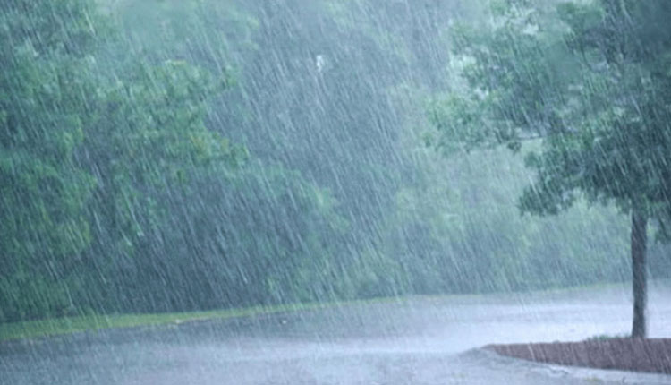 বাংলাদেশে ২৪ ঘণ্টায় ৪৫ মিলিমিটার বৃষ্টি